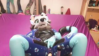 snep gets screwed