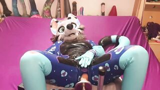 snep gets screwed