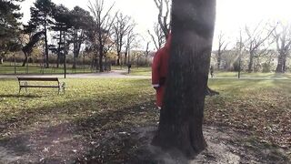Miss Santa gets banged and titty jizzed