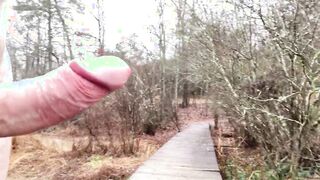 Boardwalk