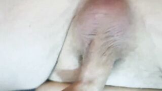 Close-up Male pov Prostate Rubs Edging and Jizzed