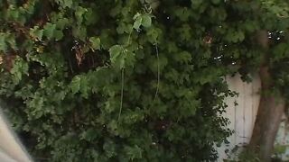 Blonde birch fickt schwarz und weissen schwanz