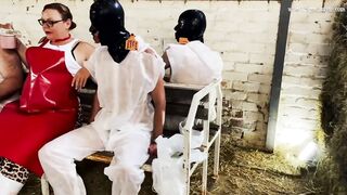 Domina Gf April - The Milking Barn