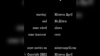Domina Gf April - The Milking Barn
