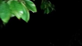Camping into the forest at night was fun!