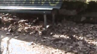 LA PORCONA DEL PARCO DI MILANO!!! - Episode #06
