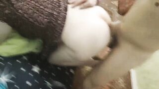 Roughly plowed his gf inside the vagina against the force