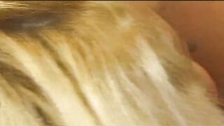 Blond sex nymphos boned each other huge rough vibrators