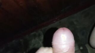Blown a neighbors's penis inside the WC