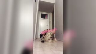 STIPTIZ YAPARKEN YAKALANDIM