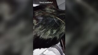Sexsual college chick gets nailed into doggy style