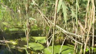 Stop Swimming and Plowed Me - Real Outdoors Sex 4K