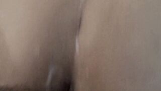 BBW Moroccan Cougar