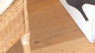 My vibrator plowed into the bedroom