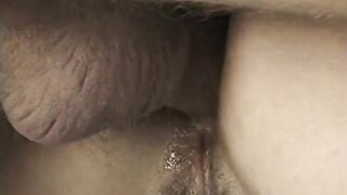 American Fucking Gigolos!!! - Vol. #06