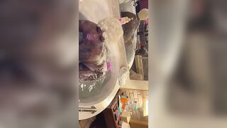 LolaMonroe twerking into bubbles