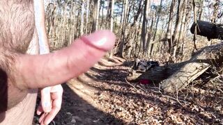 Back inside the woods after the cold weather