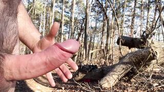 Back inside the woods after the cold weather