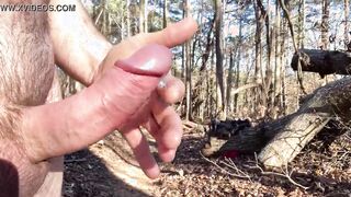 Back inside the woods after the cold weather