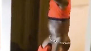 Freak Thot Compilation Part two