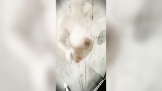 Arab Cougar Taking A Shower - steamy version