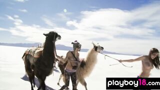 Babes posing and riding on sand yachts