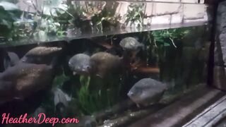 Thai 18 yo Heather Deep deep throat throatpie after watch shark