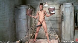 Ebony Nikki Darling trained and whipped