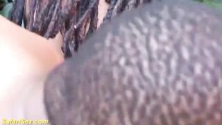 fat ebony bdsm bbw gets creamed
