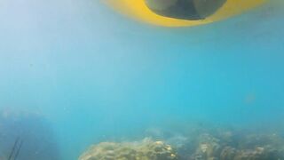 ENJOY Booty Plug INSIDE and OUT among Fish n Corals