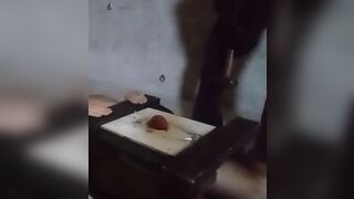 Miss Kitty tramples nuts
