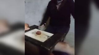 Miss Kitty tramples nuts