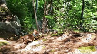Anita Coxhard gets naked nude and give Mike Coxhard a hand job while hiking into Maine