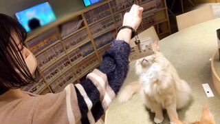 [Erotic adorable cat and estrus mating] Huge breasts huge booty