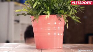 FREAKY HOSTEL - (Tommy Cabrio, Paola Rough) - Long Titted