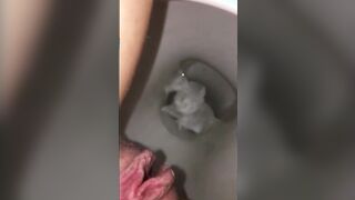 Big pussy lips pissing in the toilet closeup