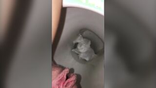 Big pussy lips pissing in the toilet closeup