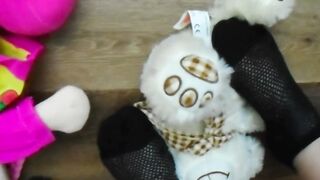 Teddy under my foot