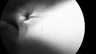 Close-up cunt - A soft penetration into close-up into my little snatch