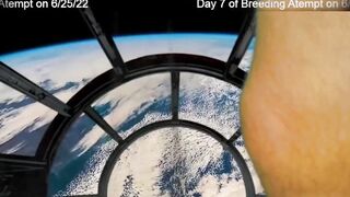 Day 7 Wifey Breeding Attempt - SexyGamingCouple