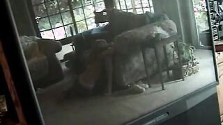 Young toy fucking cunt eating chick