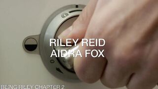 TUSHY THE DEFINITIVE RILEY REID COLLECTION