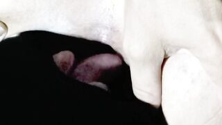 Real and extreme anal pleasures for a real lovers