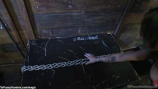 Busty shemale gets big cock fucked
