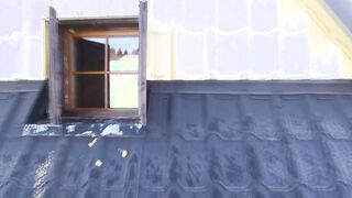 Riesenschwanze im Schnee - Episode three