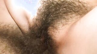 A bushy dream lovers pounded