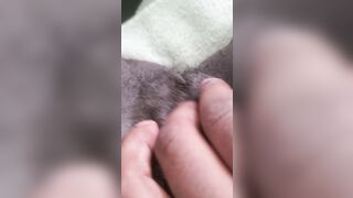 Rubbing my cunt till I cum