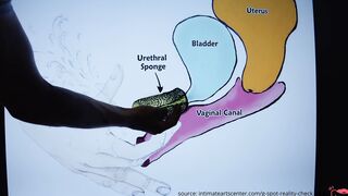SQUIRTING TUTORIAL !!! How to make chick SQUIRT ?! MrPussyLicking