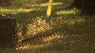 Bae dark hair vintage pornstar Nevaeh Ashton banged! rough into the garden
