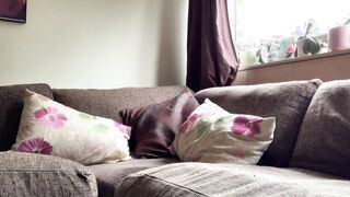 full length original movie of my favorite iPad bbw solo selfie vibrator ride my good ex-wife inside african tights